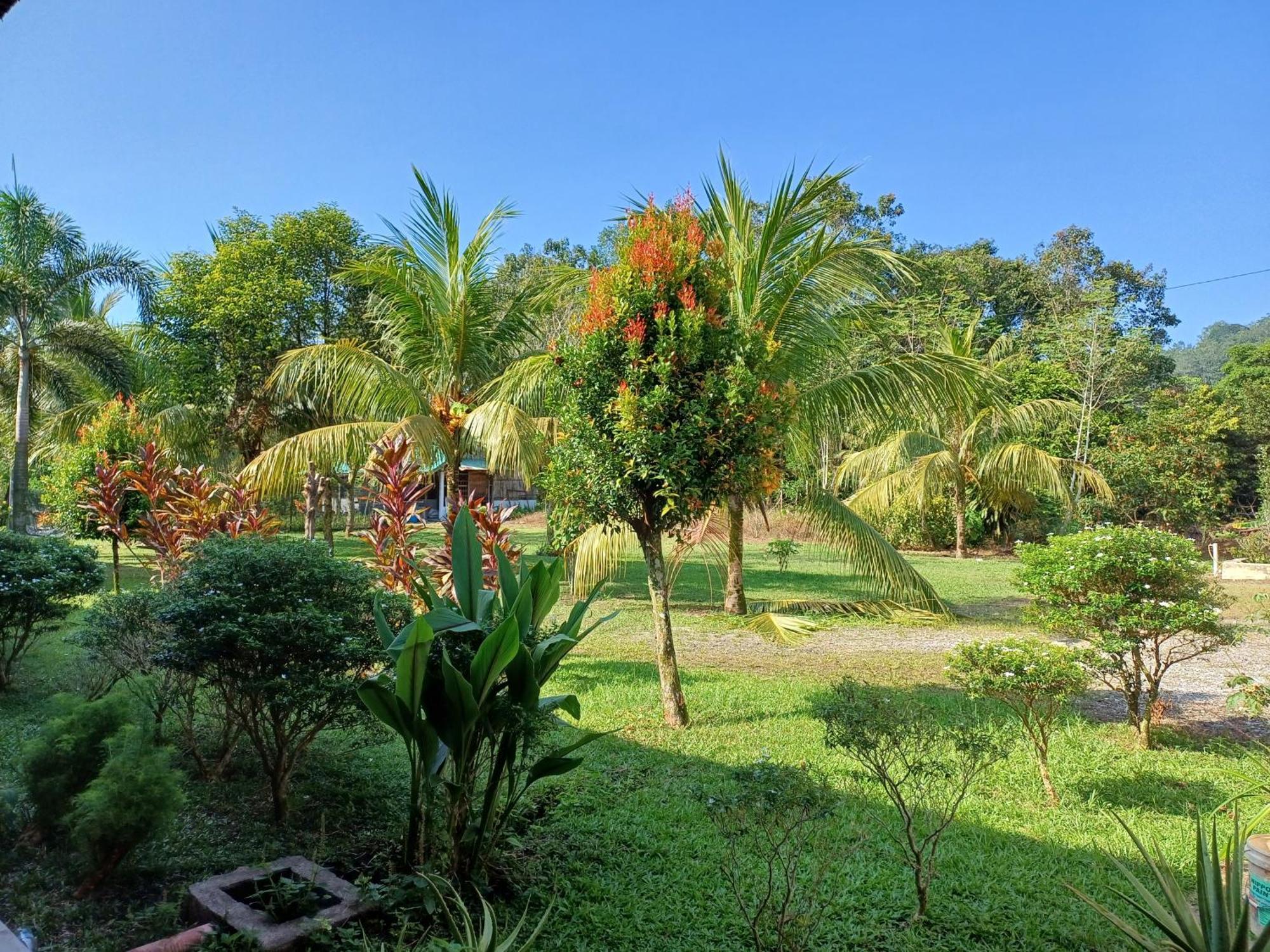 Lemuni Retreat & Training Centre - Kerling, Selangor Otel Dış mekan fotoğraf